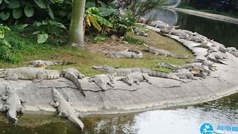 广州鳄鱼公园门票多少_广州鳄鱼公园门票多