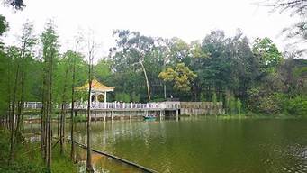 广州天鹿湖森林公园离南岗多远_广州天鹿湖森林公园离南岗多远啊